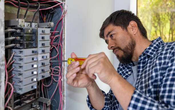 Best Electrical System Inspection  in Egan, LA